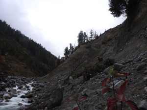 DSCN2056