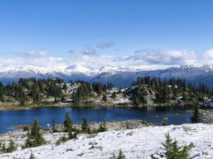 IMG_6171