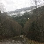 Into to Bushwhacking