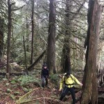 Into to Bushwhacking
