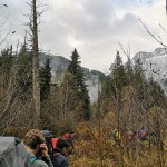 Into to Bushwhacking