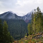 Into to Bushwhacking