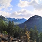 Into to Bushwhacking