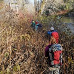 Into to Bushwhacking