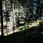Into to Bushwhacking