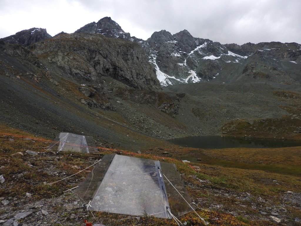 Val Bercla ITEX site