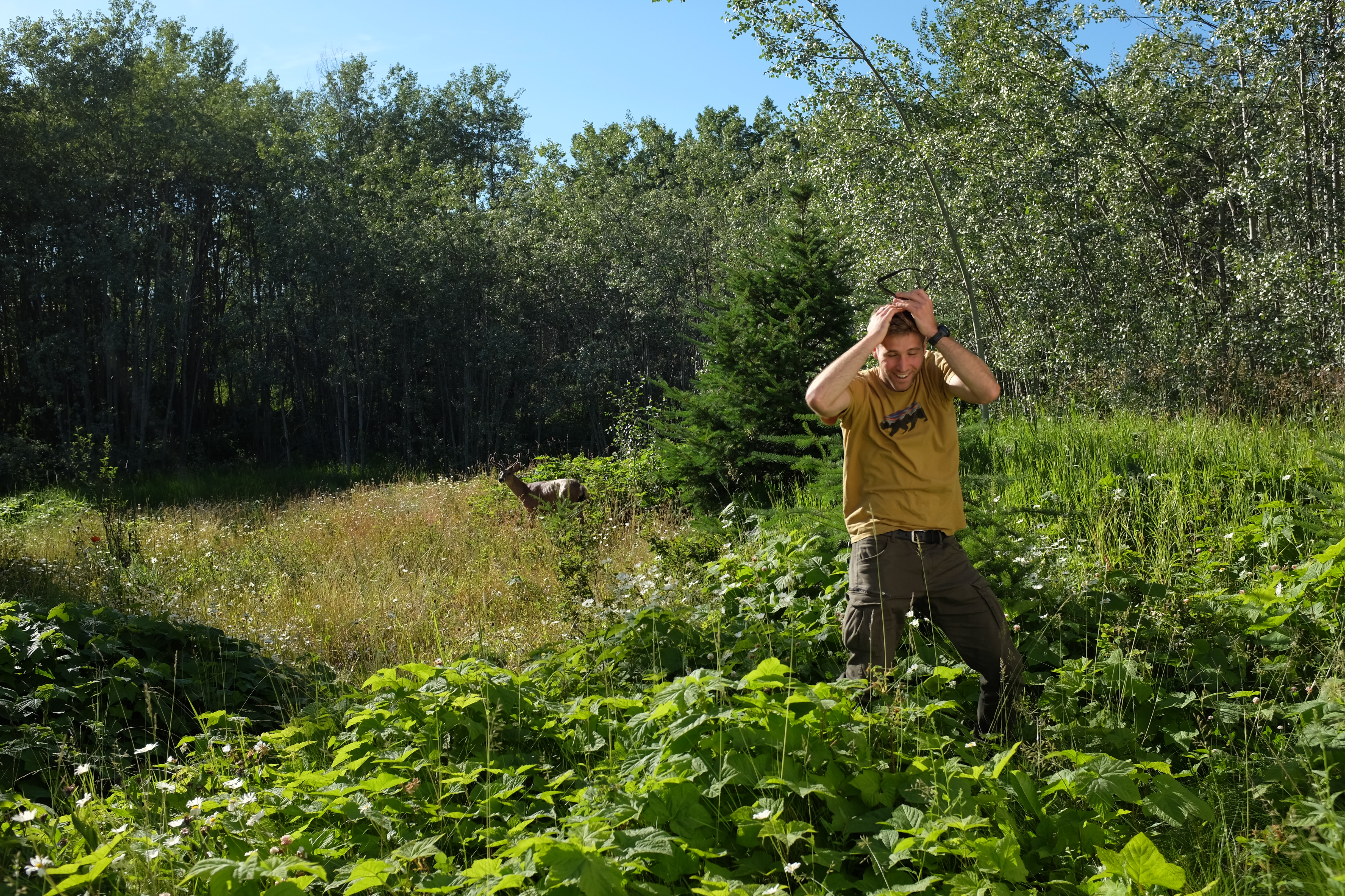 Declan, freaking out at the buck that just launched out of the haunted house a few cm from him as he was about to enter it. PC Milen Spivak.