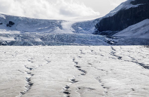 Columbia Icefields