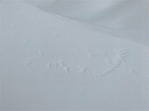 Wing-print of a raven.