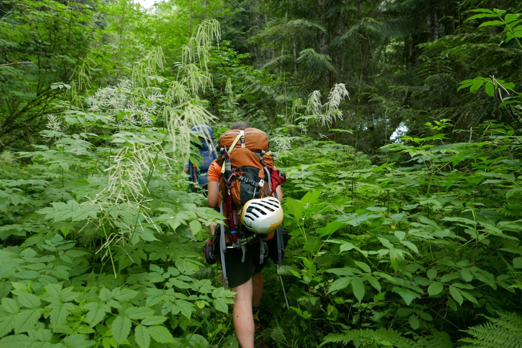 The lower-part of the Lizzie trail was more overgrown.