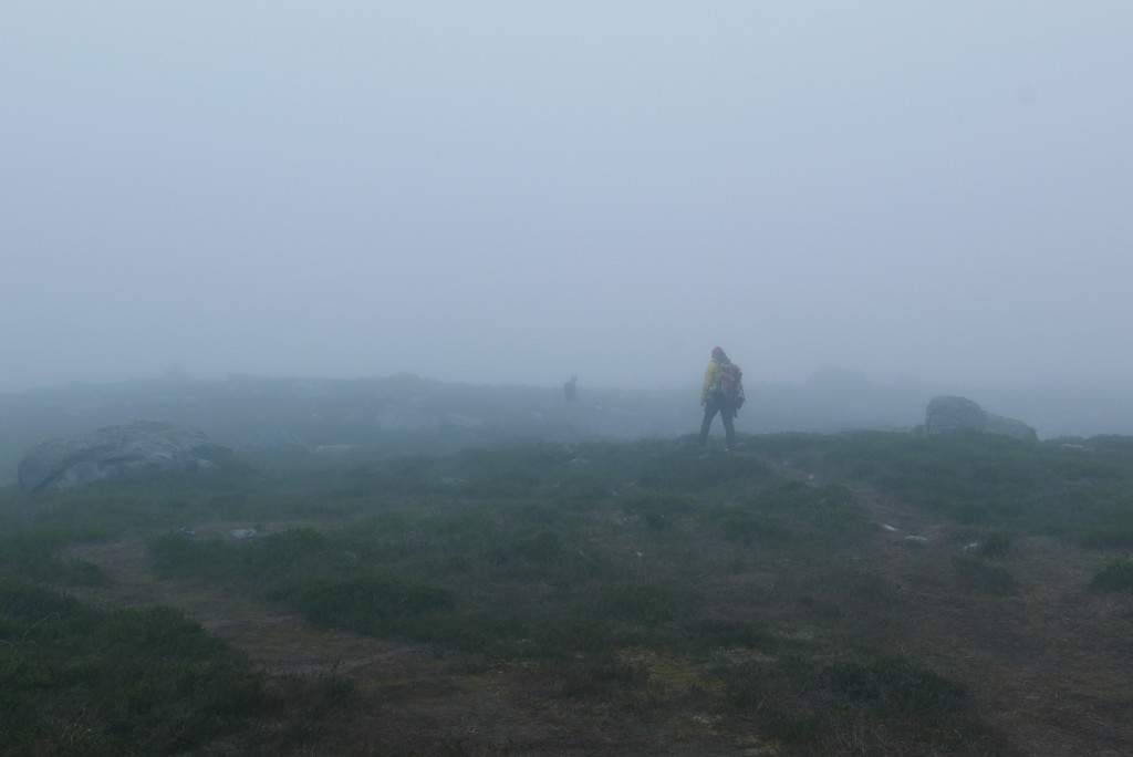 Morning fog.