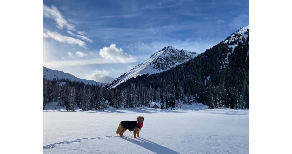 The hut emerging in the distance. Buddy being happy as usual. | Photo by Settare Shariati