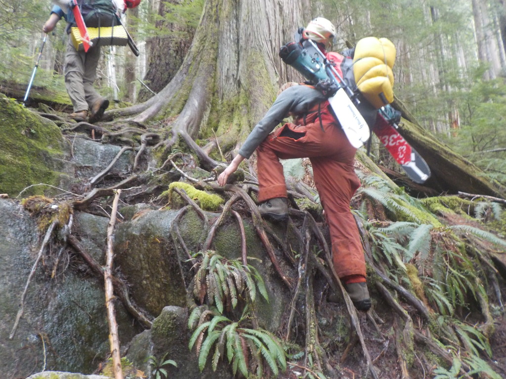 Ben doing some root scrambling. PC: Hannah