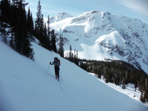 Steep skinning through the trees above White Lakes (photo by Alberto)