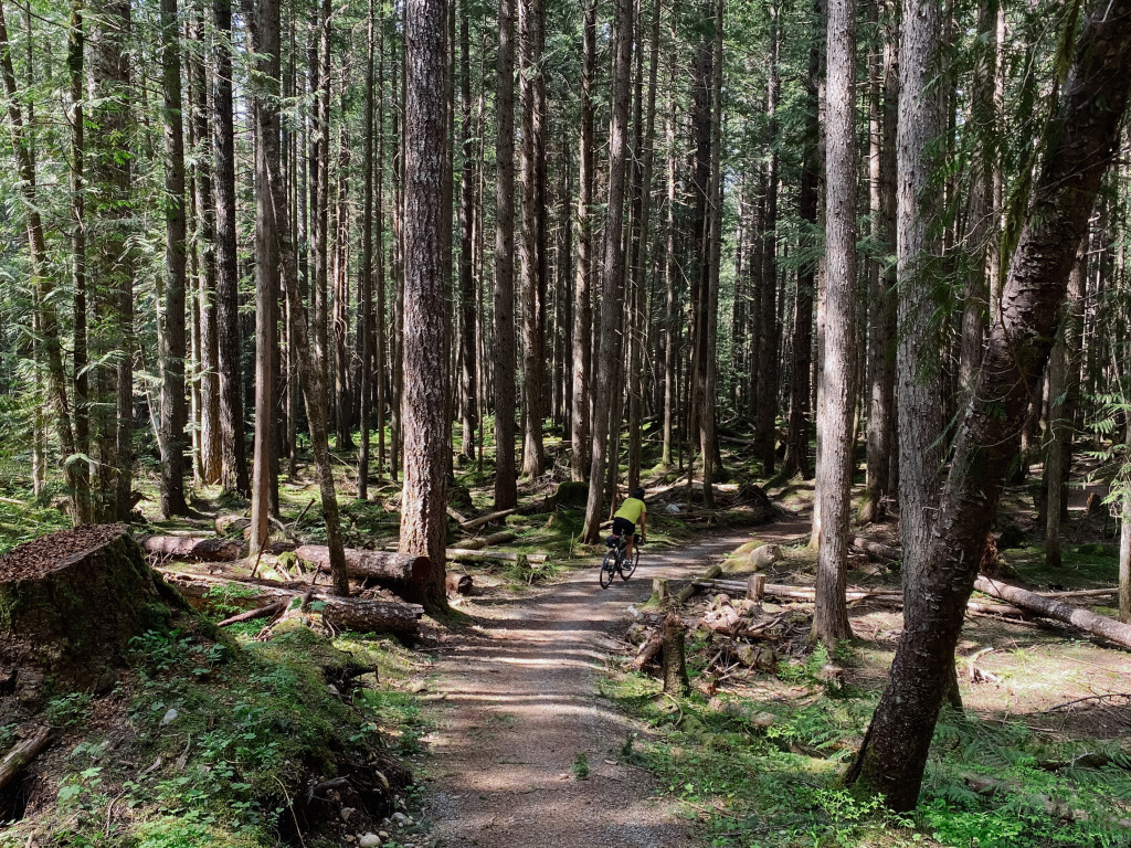 The trails between Brandywine Falls and Whistler are beginner-friendly