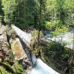 The old bridge that crosses Widgeon Creek just upstream of the Hanging Creek confluence