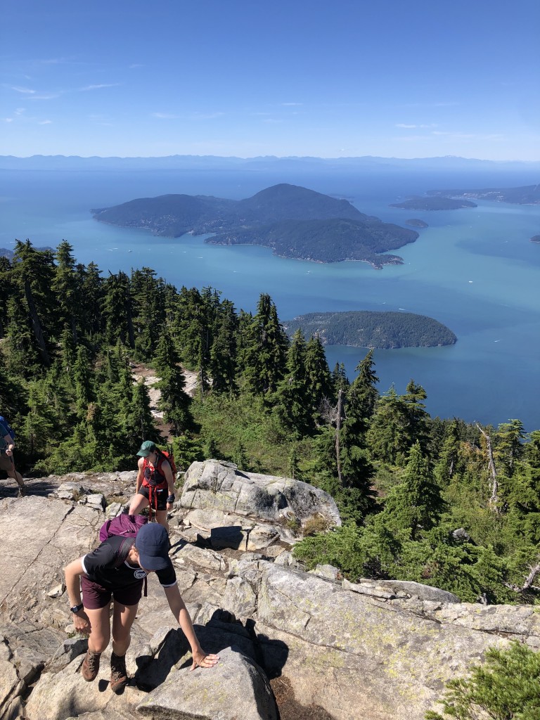 Howe Sound from Unnecessary Mountain