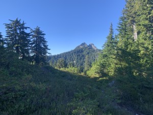 Now our friend, Crown Mountain, seen from the Ridge Trail.