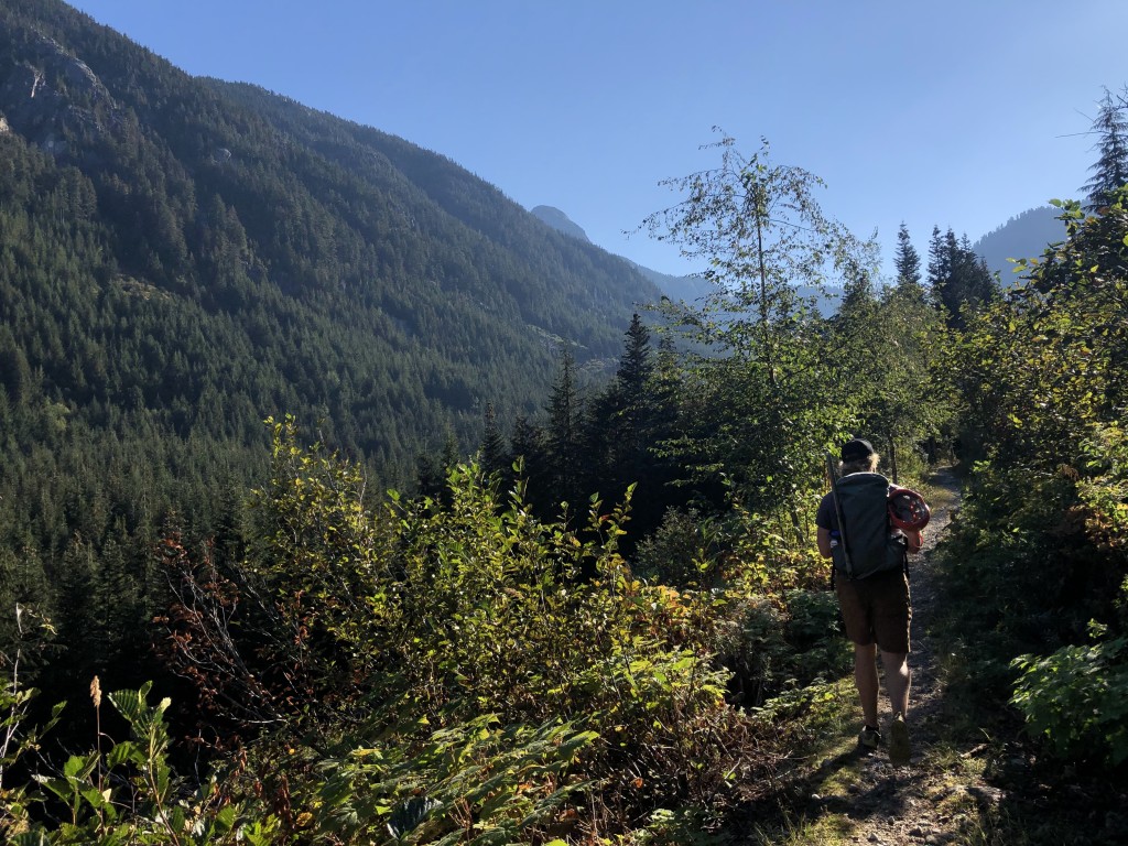 Typical views from the old logging roads.