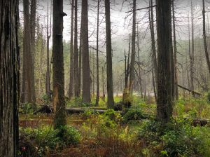 The mysterious Whyte Lake. Photo by: Lucas Braun