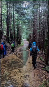 A dry and relaxing trail! Photo by: Sparsh Inanda