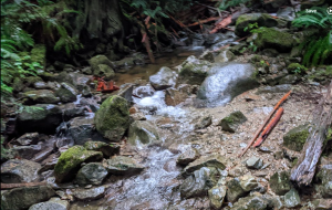 The raging Nelson Creek! Photo by: Sparsh Inanda