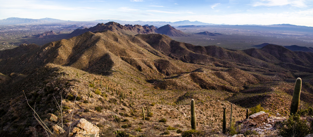 Looking south from Wasson Peak in the Tucson Mountains