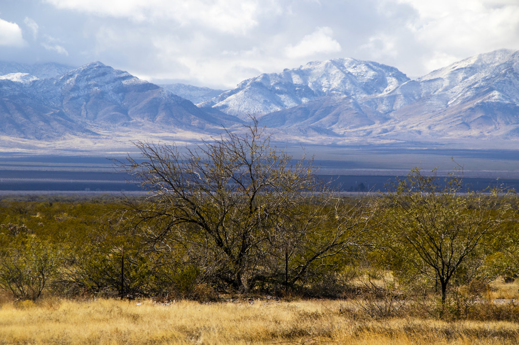 Bonus pic: rare snow in the desert on my drive out of Arizona