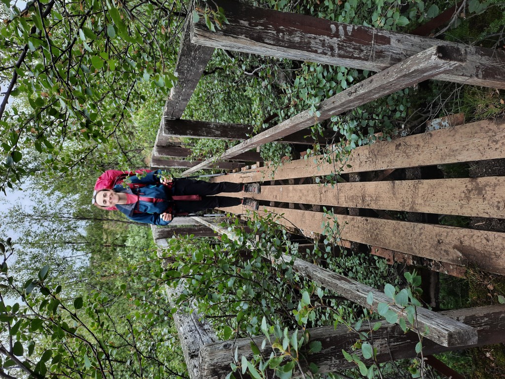 At the valley floor, things were much more lush and lively. 