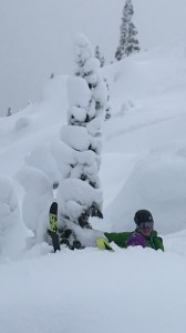 Gentle falls in the deep pow.