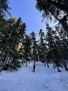 The Icy Skin Track. Photo Credit: Justyna Piotrowska