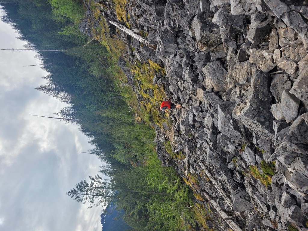 Nelson and the rock field