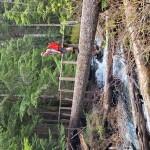 The bridge over Pierce Creek