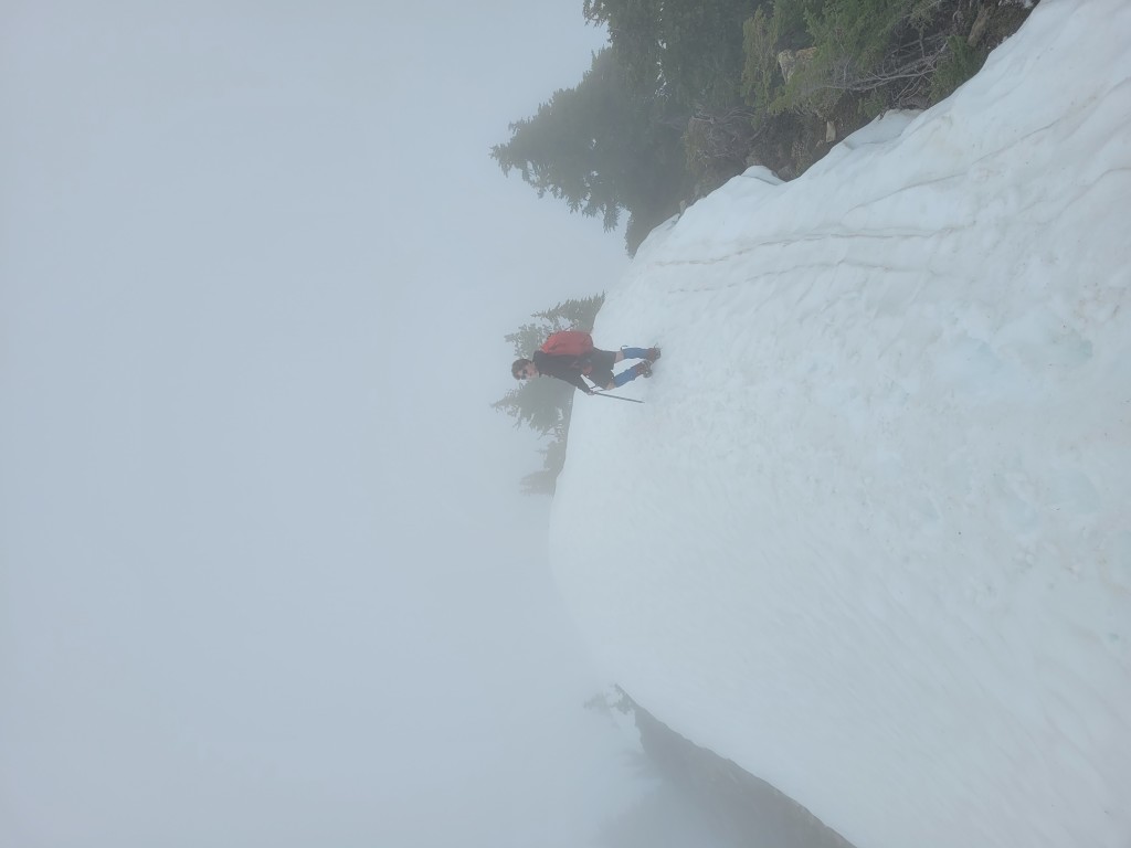 Nice and foggy