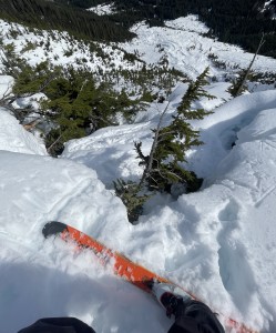Steep cedar first ski ascent