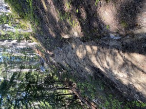 Harrison Hut Trail