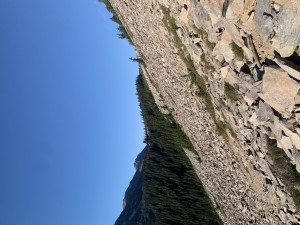 The very steep and unpleasant traverse before we reach the forest.  pc: Mona