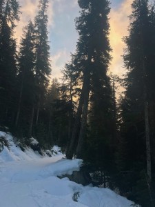 A snow covered trail is surrounded by tall shadowy trees. The blue sky is now painted with glowing orange and pink clouds. 