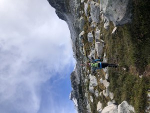 Up the boulder field