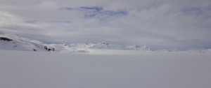 Looking across the massive icecap that feeds the Tsirku, Carroll, and Tkope glaciers, among others. 