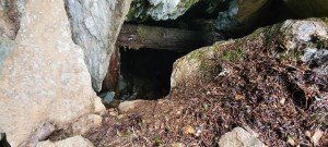 Sneaky Little Mine