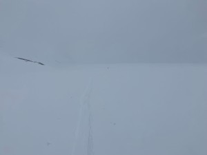 Typical view during the afternoon