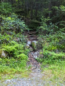 start of path