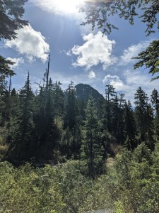 Vicar(?) peak
