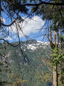 View I'd missed on the way up