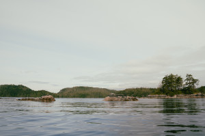 The fox group in the heart of the Broughton Archipelago.