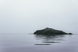 An eagle at the edge of Weynton Passage