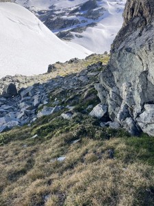 IMG_0353