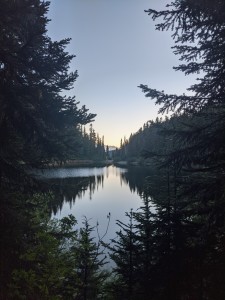 PXL_20240806_031550393