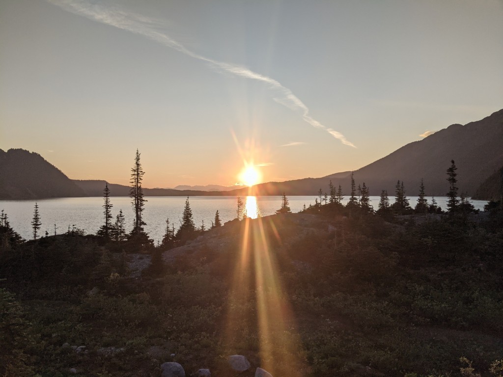 PXL_20240807_032159070